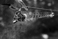 Shimano Stella FK -Shimano STL1000FKr 6